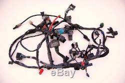 2008 Triumph Street Triple 675 Main Harness Wiring Harness