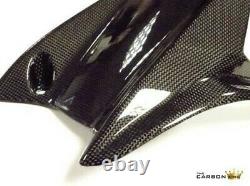 765rs Triumph Street Triple Carbon Rear Fender Integral Chain Brilliant