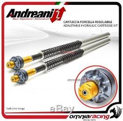 Andreani Regulab Hydr Cartridge Forks Fork Triumph Street Triple 675 13