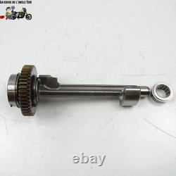 Balance Triumph 765 Street Triple 2017