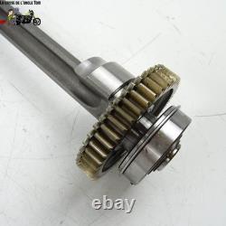 Balance Triumph 765 Street Triple 2017