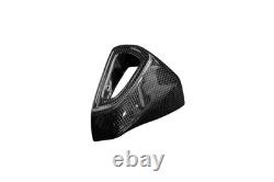 Carbon Exhaust Fairing (Rear Part) for Triumph Street Triple 765 2