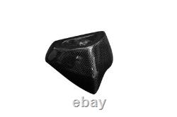 Carbon Exhaust Fairing (Rear Part) for Triumph Street Triple 765 2