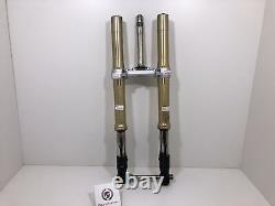 Complete Front Fork Christ Plate TRIUMPH Street Triple 675 2009