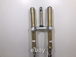 Complete Front Fork Christ Plate TRIUMPH Street Triple 675 2009