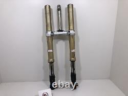 Complete Front Fork Christ Plate TRIUMPH Street Triple 675 2009