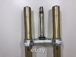 Complete Front Fork Christ Plate TRIUMPH Street Triple 675 2009