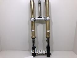 Complete Front Fork Christ Plate TRIUMPH Street Triple 675 2009