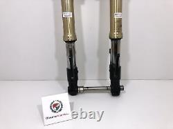 Complete Front Fork Christ Plate TRIUMPH Street Triple 675 2009