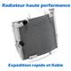 Cooling Radiator For Triumph 17-24 2023 2022 Street Triple 765 660