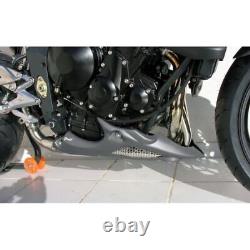ERMAX Engine Protector TRIUMPH 675 STREET TRIPLE R 2009-2011 satin gray