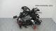 Electric Harness Triumph Street Triple 675 4t