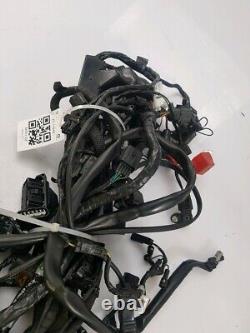 Electrical Harness TRIUMPH STREET TRIPLE RS 765 1021321307