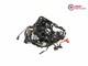 Electrical Harness (triumph Street Triple R 765 2017 2019)