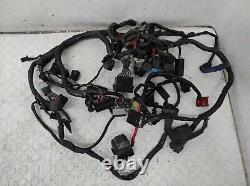 Electrical Wiring System TRIUMPH STREET TRIPLE 675 2013/2016 T2501645