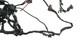 Electrical Harness Triumph Street Triple 675 2007 To 2011