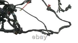 Electrical harness TRIUMPH STREET TRIPLE 675 2007 to 2011