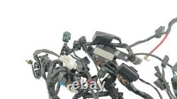 Electrical harness TRIUMPH STREET TRIPLE 675 2007 to 2011