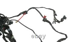 Electrical harness TRIUMPH STREET TRIPLE 675 2007 to 2011