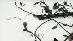 Electrical harness TRIUMPH STREET TRIPLE 675 R ABS 2013 to 2016