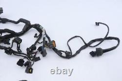 Electrical harness for TRIUMPH 675 STREET TRIPLE motorcycle 2007 to 2011