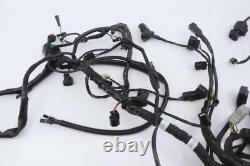 Electrical wiring harness for TRIUMPH 765 STREET TRIPLE RS 2020 to 2023 motorcycle