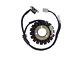Electrosport Stator Ignition Triumph Street Triple R 675 2009/2014 V833200331
