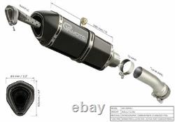 Exhaust for Triumph STREET TRIPLE 765 S/R/RS 2017-2022 GRmoto Carbon