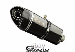 Exhaust for Triumph Street Triple 765 S/R/Rs 2017-2022 GRmoto Carbon