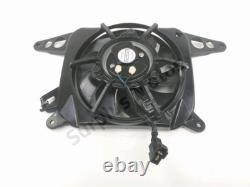 Fan Triumph Street Triple 2016-2020 / Ne 53512