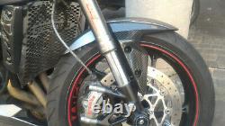 Fender's Flanks Mud Triumph Street Triple 765 R Rs 2017 2018 2019 2020 Carbon