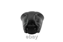 Fuel Tank TRIUMPH STREET TRIPLE 765 R ABS 2020–2023