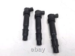 Ignition Coil Triumph Street Triple 2016-2020 / Part 20139