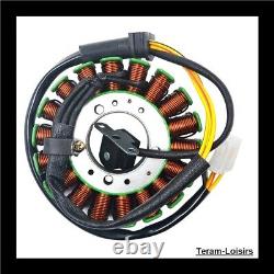 Ignition Stator for Triumph Street Triple 675 R from 2008 to 2017