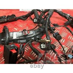 Main Electric Harness Triumph 660 Street Triple S 2017 To 2020