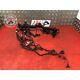 Main Electric Harness Triumph 660 Street Triple S 2020 To 2022