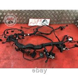 Main Electric Harness Triumph 765 Street Triple Rs 2017 To 2019