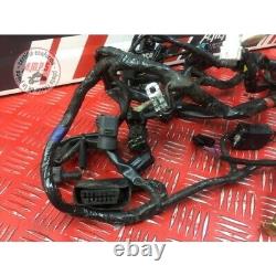 Main electrical harness Triumph 675 Street Triple 2007 to 2010