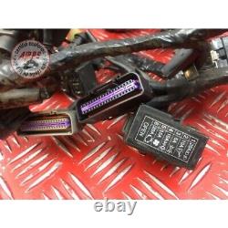Main electrical harness Triumph 675 Street Triple 2007 to 2010