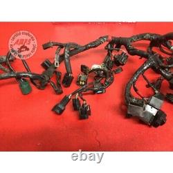 Main electrical harness Triumph 675 Street Triple R 2007 to 2010