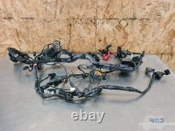 Main electrical harness Triumph Street Triple 660 S 2017 to 2020