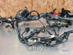 Main electrical harness Triumph Street Triple 660 S 2017 to 2020