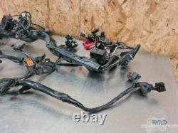 Main electrical harness Triumph Street Triple 660 S 2017 to 2020
