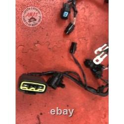 Main electrical harness Triumph Street Triple 675 2013 to 2016