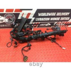 Main electrical harness Triumph Street Triple 675 R 2013 to 2016