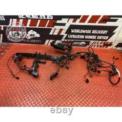 Main electrical harness Triumph Street Triple 675 R 2013 to 2016