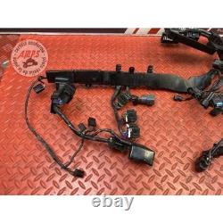 Main electrical harness Triumph Street Triple 675 R 2013 to 2016