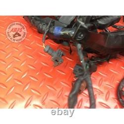 Main electrical harness Triumph Street Triple 675 R 2013 to 2016