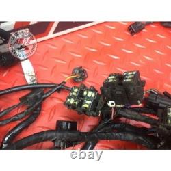Main electrical harness Triumph Street Triple 675 R 2013 to 2016