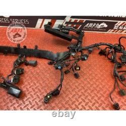 Main electrical harness Triumph Street Triple 675 R 2013 to 2016